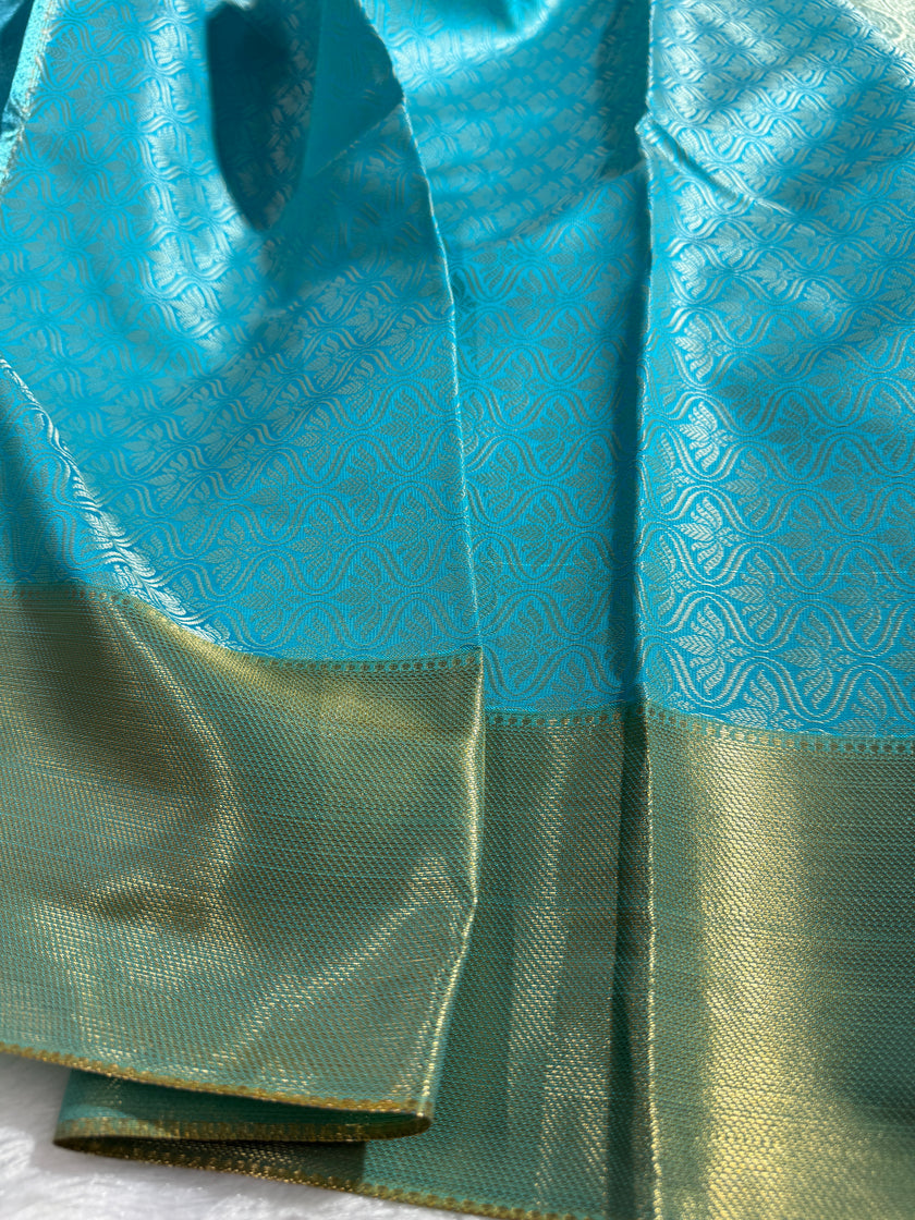 BANARASI TISSUE TANCHUI SILK SAREE TS104