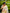 Banarasi katan silk saree hn130