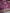 Banarasi mashru katan silk saree hn110